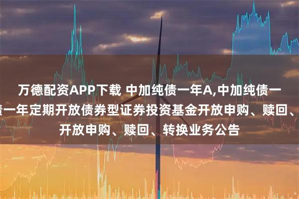 万德配资APP下载 中加纯债一年A,中加纯债一年C: 中加纯债一年定期开放债券型证券投资基金开放申购、赎回、转换业务公告