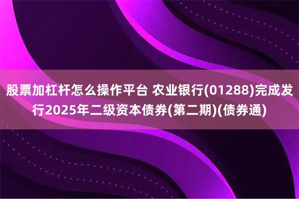 股票加杠杆怎么操作平台 农业银行(01288)完成发行2025年二级资本债券(第二期)(债券通)