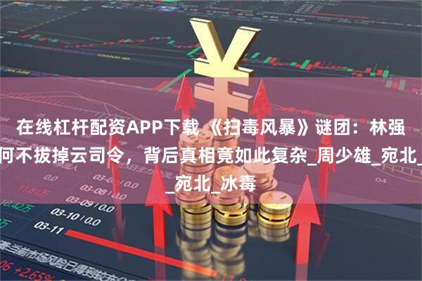 在线杠杆配资APP下载 《扫毒风暴》谜团:林强峰为何不拔掉云司令,背后真相竟如此复杂_周少雄_宛北_冰毒